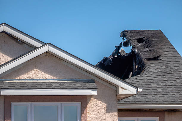 Top rated local Odor Removal specialists in Vienna, VA